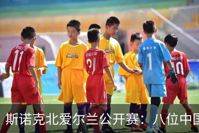 斯诺克北爱尔兰公开赛：八位中国选手争夺决赛，白雨露首战引关注