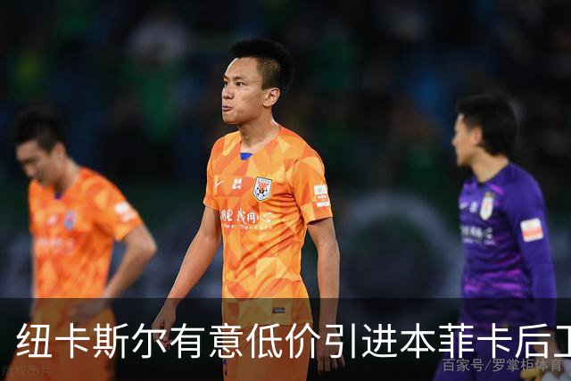 纽卡斯尔有意低价引进本菲卡后卫德迪奇